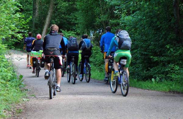 Gruppe Fahrradfahrer fährt durch den Wald