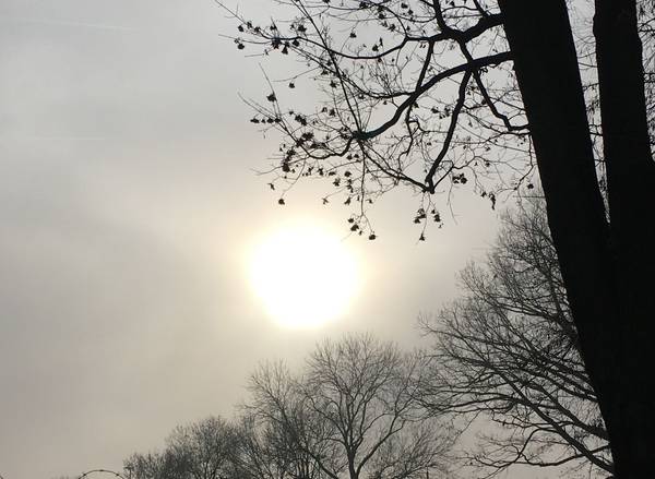 Die Sonne versucht durch die Novemberwolken hindurchzukommen. Fahles Licht, kahle Äste.