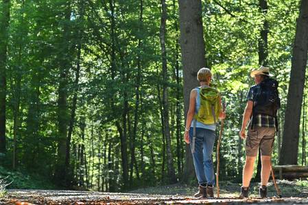 Ein Mann und eine Frau pilgern durch einen lichtdurchfluteten Wald